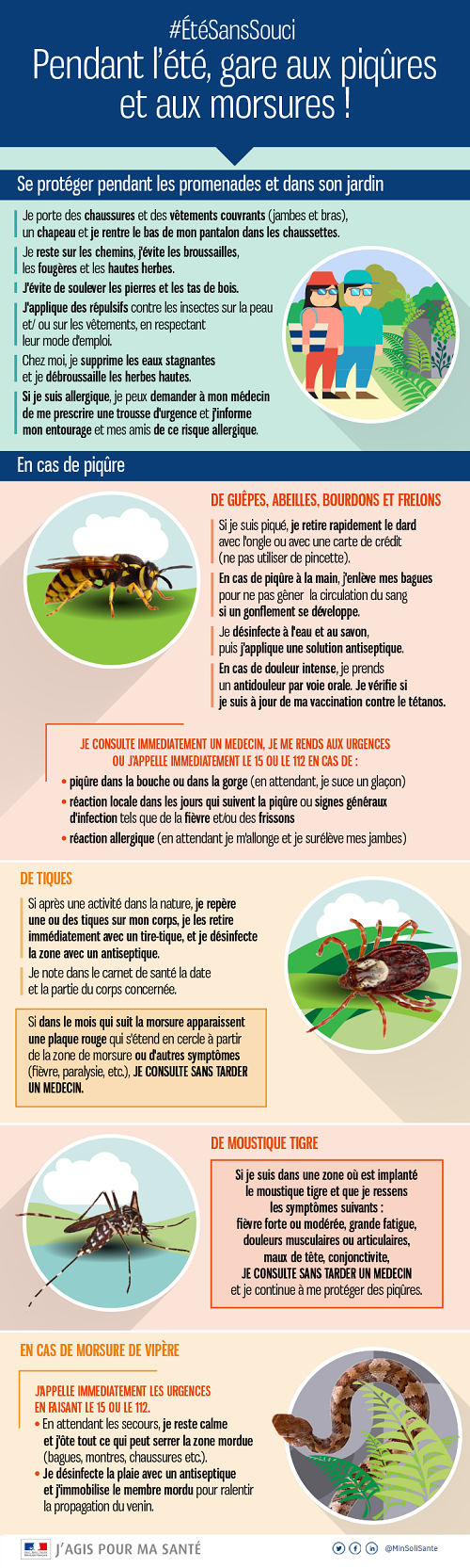 infog_piq_morsures - Copie