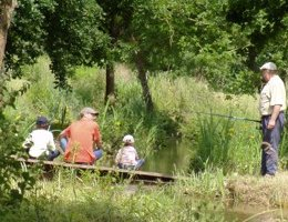 Pêche ancien et nouveau canal latéral à la Loire, au Riot et en Loire